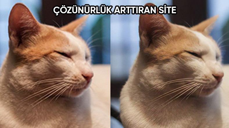 Bir Daha Asla Unutamayacağınız 10 İşe Fayda İnternet Sitesi