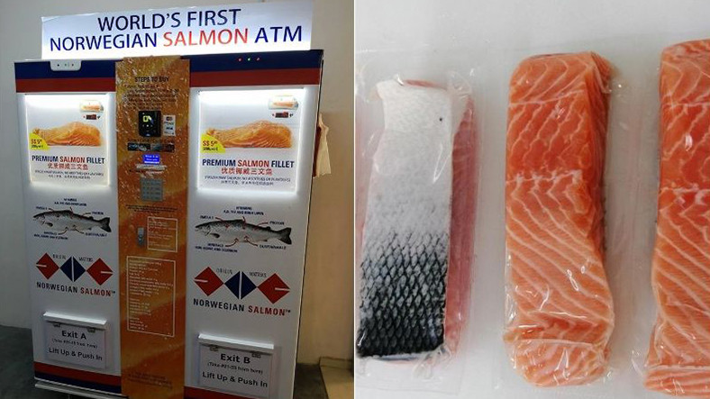 Dünyanın Birinci Norveç Somonu ATM’si Singapur’da Açıldı