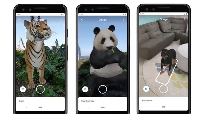 Google, Arama’ya Artırılmış Gerçeklik Hayvanları Ekledi