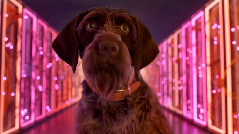 Google Stadia’nın Oyuncuların Başını Karıştıran Fragmanı