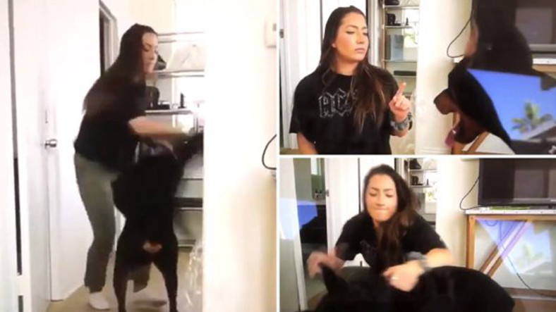 Köpeğine Şiddet Gösteren YouTuber Bayan Ceza Almadı
