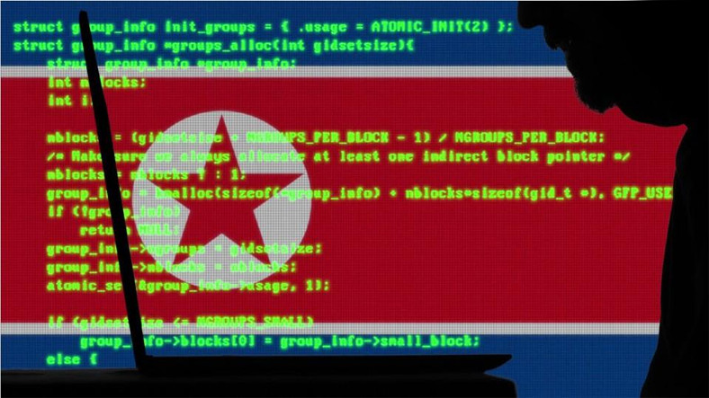 Microsoft, Hacker’ların 50 Alan İsmini Ele Geçirdi