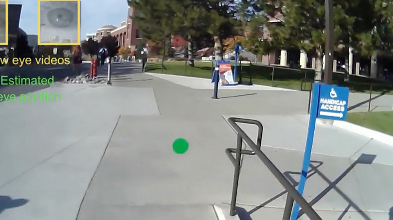 Nereye Bakıp Neye Odaklandığınızı İzleyen Gözlük