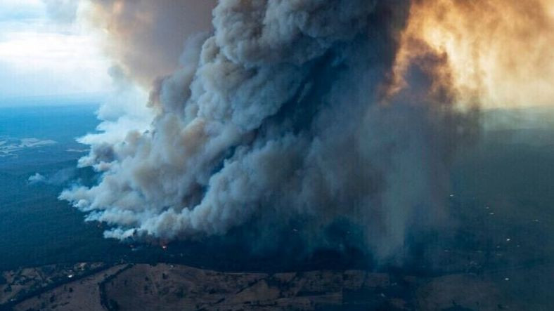 Ubisoft ve Bungie Avustralya’daki Yangınzedelere Yardım