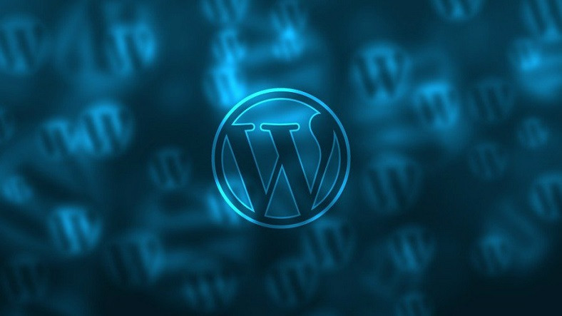 WordPress Eklentisinde, Kritik Bir Güvenlik Açığı Bulundu