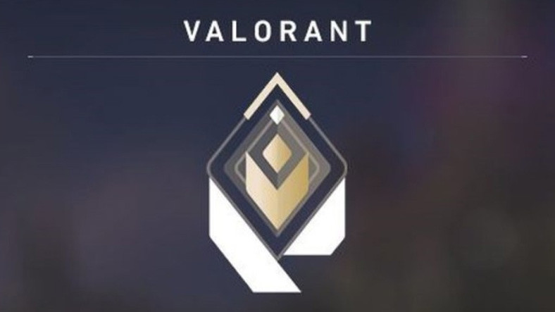 15 Yaşındaki Oyuncunun Valorant Palavrası Elinde Patladı