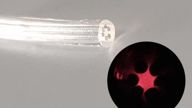 Araştırmacılar, Deniz Yosunu Jelinden Optik Lif Üretti