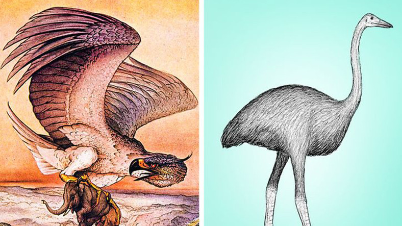 Biraz Abartılsa da Gerçekte Var Olan 7 Fantastik Canlı