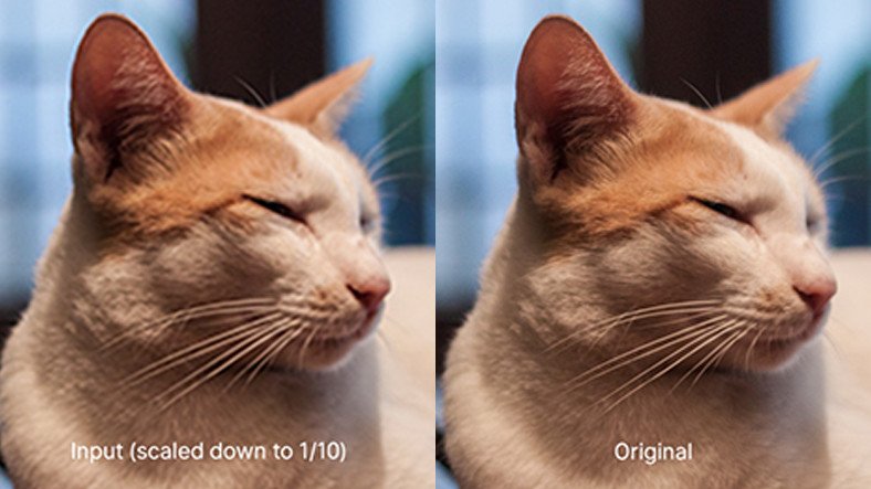 Kalitesiz Fotoğrafları Uygunlaştıran Fiyatsız İnternet Sitesi!