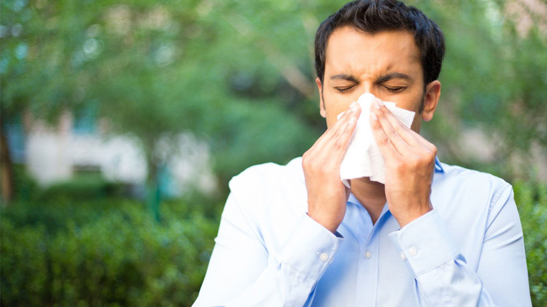 Karantina ve Alerjiler Ortasındaki İrtibat Araştırılacak