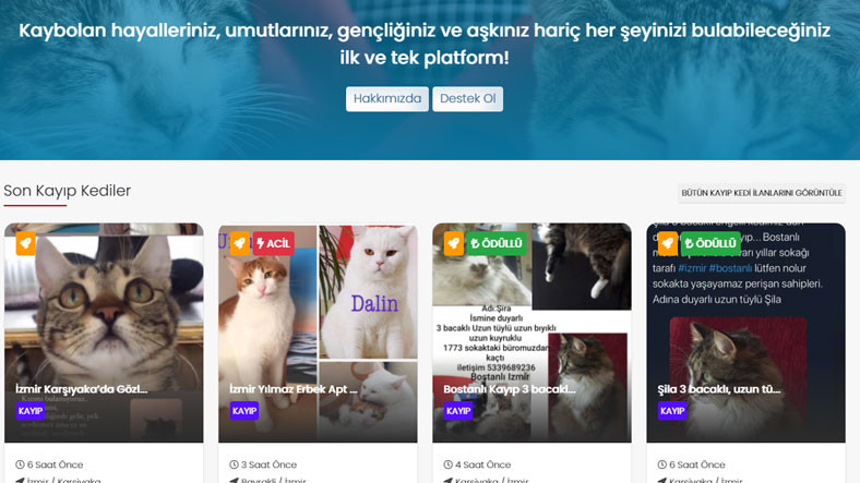 Kayıp Evcil Hayvan İlanlarını Bulabileceğiniz Platform