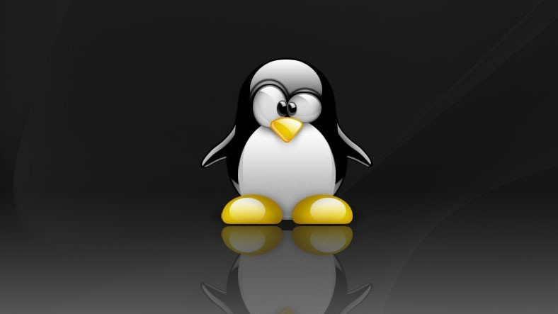 Linux 5.8 Yayınlandı
