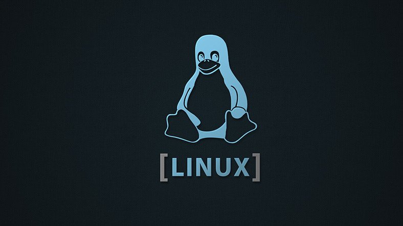 Linux Nedir, Ne İşe Fayda, Kimler Kullanır?