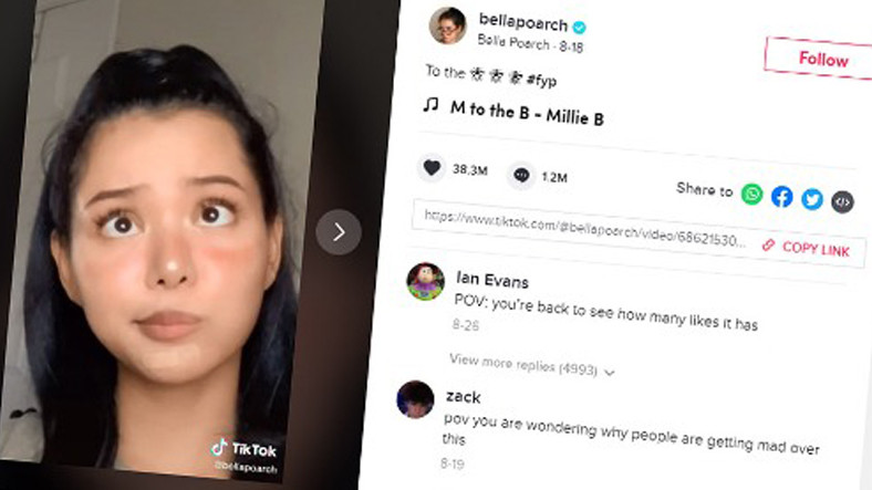 TikTok, 2020 Yılının En Çok İzlenen Viral Görüntüsünü Açıkladı