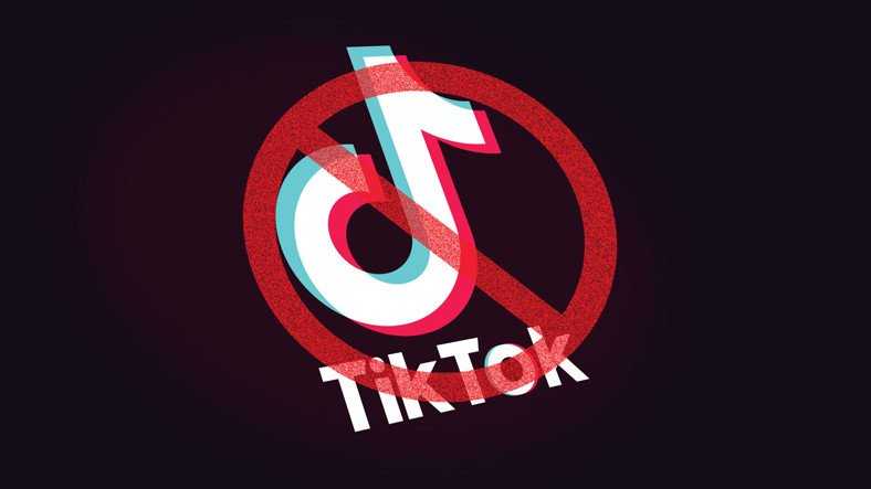TikTok Hakkında Hiç de Şaşırtmayan Anket Sonuçları