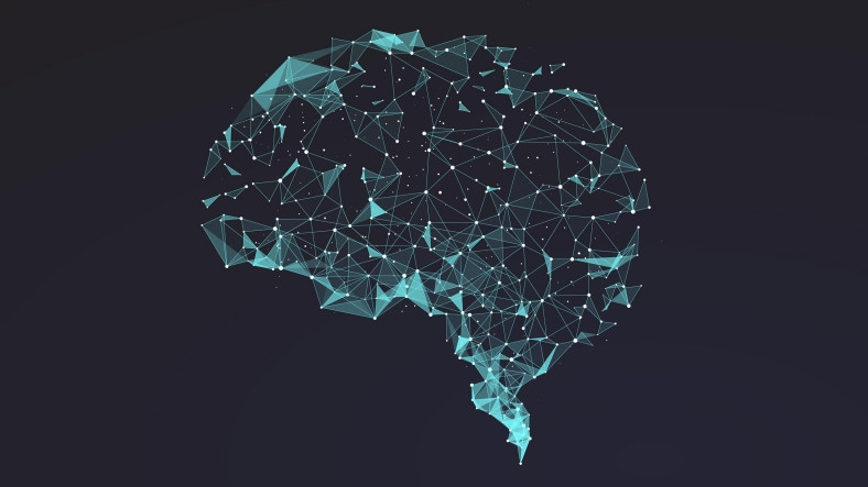 Valve CEO’su: Oyunlar Beynimizi Sabit Disk Olarak Kullanacak