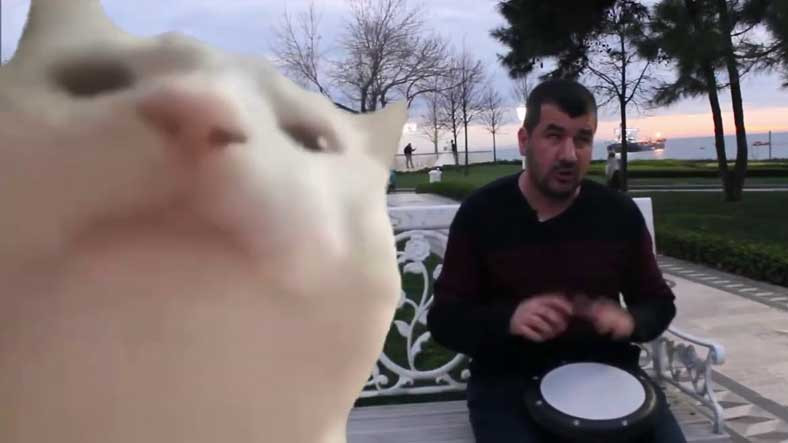 YouTube, Bilal Göregen Kedili Viral Görüntüsü Paylaştı