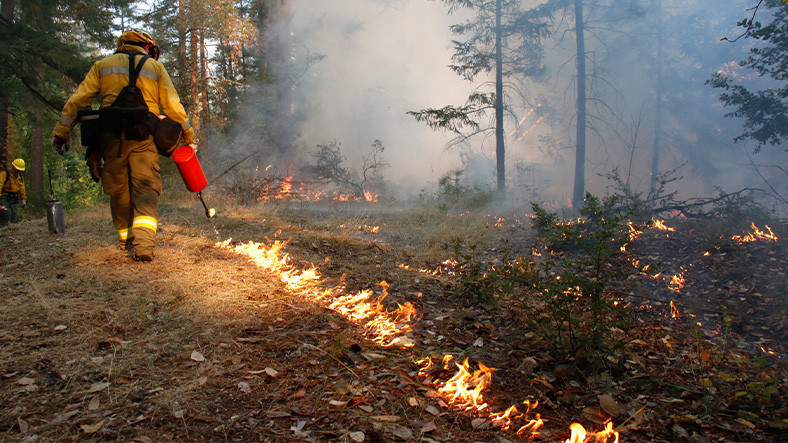 Alanya’da Yakılan Karşı Ateş , Starlink Saldırısı Zannedildi