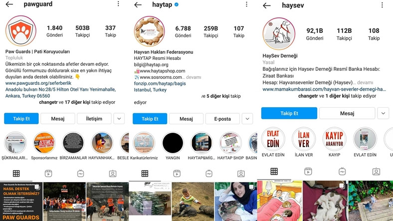 Bir Köpeği Dost Edinebileceğiniz Instagram Hesapları