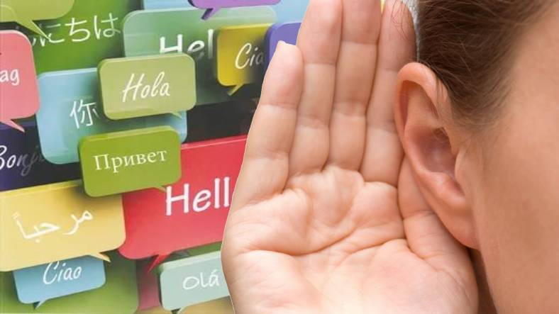 Dinlediğiniz Konuşmaların Lisanını İddia Ettiğiniz Site