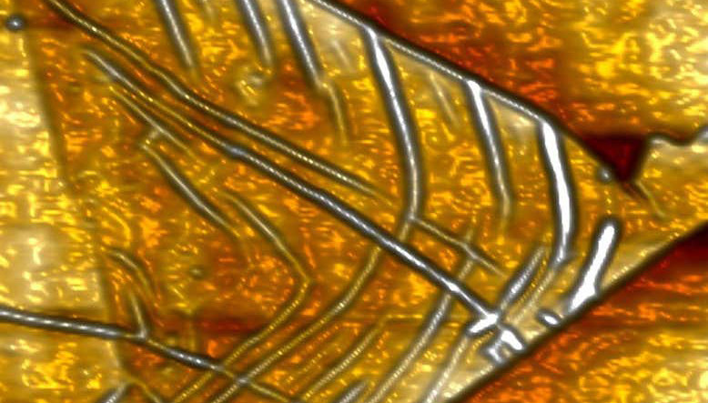 Dünyanın En Küçük Mikroçipi Tasarlandı