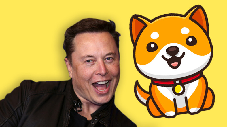 Elon Musk, Tek Tweet İle “Bebek Doge”yi Uçurdu
