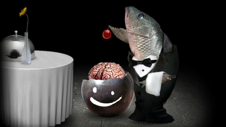 Flash Player Tabanlı Mitoza, iOS, Android ve PC İçin Yayında