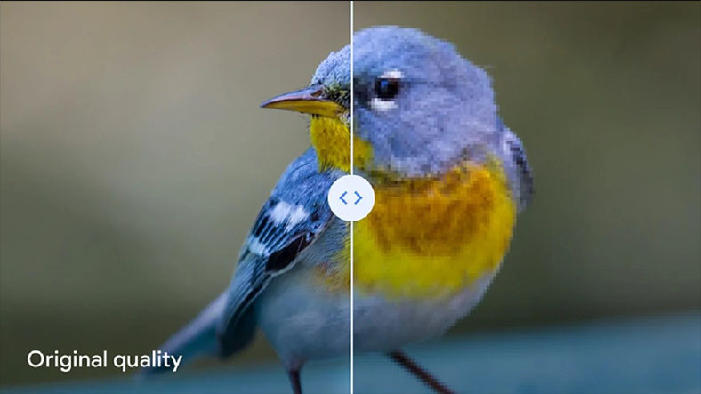 Google Drive’da Yedeklenen Fotoğraflar Ziyan Görüyor