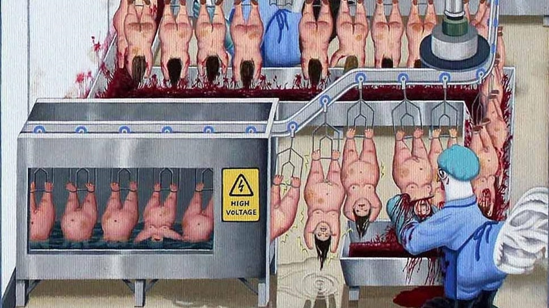 Hayvanlara Yaptığımız İstismarı Onlar Bize Yapsaydı?  [+18]