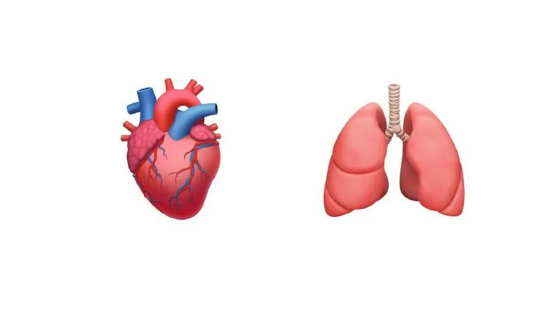 Hekimler Daha Çok Organ Emojisi Olması Gerektiği Kanaatinde
