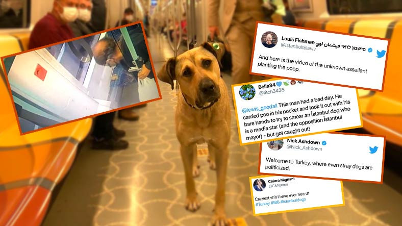 İstanbullu Boji, Dünya Çapında Olay Oldu