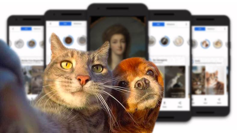 İşte Google’ın Yeni Aracı: Pet Portraits