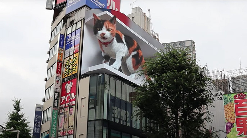 Japonya’daki 3 Boyutlu Dev Kedi Animasyonunun Viral Görüntüsü