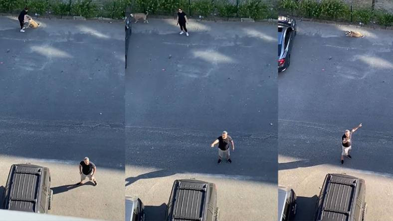 Köpeği Barınağa Yollamak İsteyenlere İsyan Etti