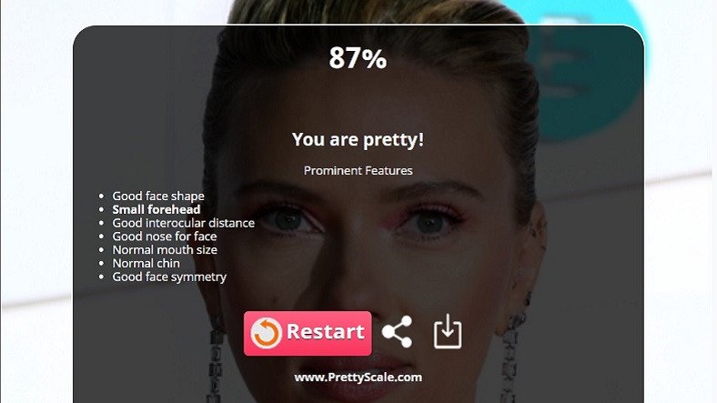 Ne Kadar Hoş Olduğunuzu Hesaplayan İnternet Sitesi
