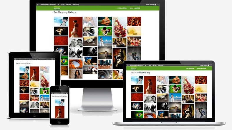 NextGEN Gallery Eklentisinde Güvenlik Açıkları Keşfedildi