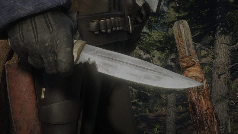 RDR2’de The Revenant Göndermeli Sürpriz Yumurta Bulundu