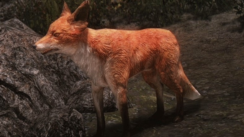 Skyrim’de Yıllardır Çözülemeyen Tuhaf Bir Bilmece Çözüldü