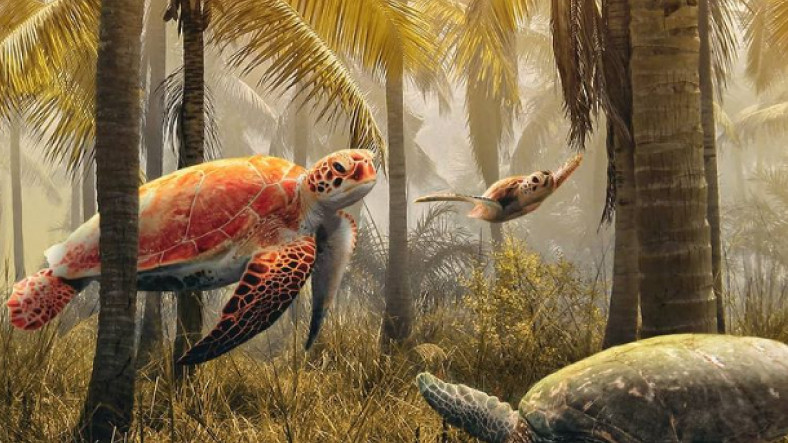 Türk Tasarımcıya İlişkin 10 Şahane Foto Manipülasyon