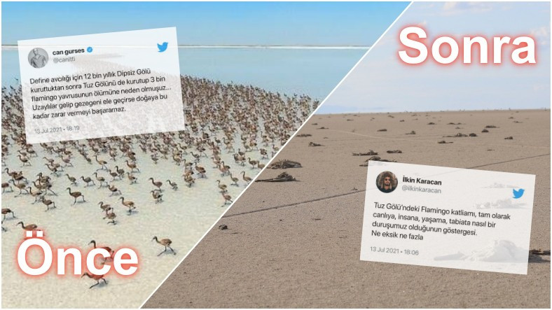 Tuz Gölü Katliamı İçin Toplumsal Medyada Yapılan Paylaşımlar