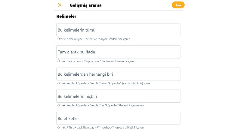 Twitter Ayrıntılı Arama Motoru Nasıl Kullanılır?