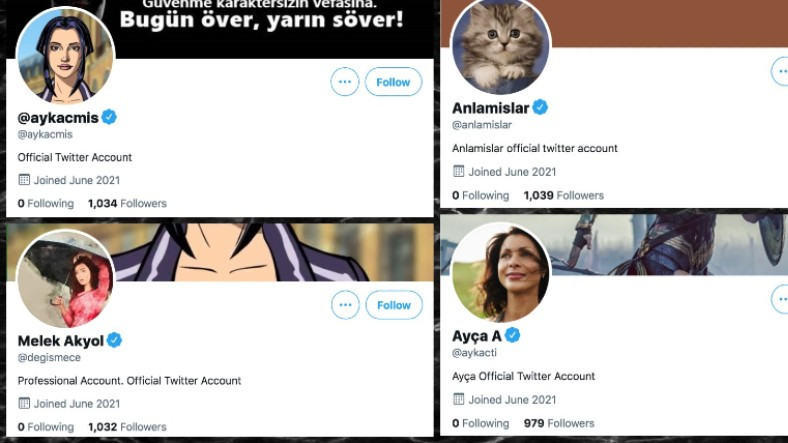 Twitter’ın 6 Türk Düzmece Hesaba Mavi Tik Verdiği Ortaya Çıktı