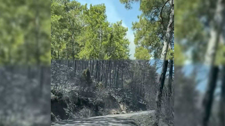 Yangın Yeşil Marmaris’i Dehşet Sineması Setine Çevirdi [Video]