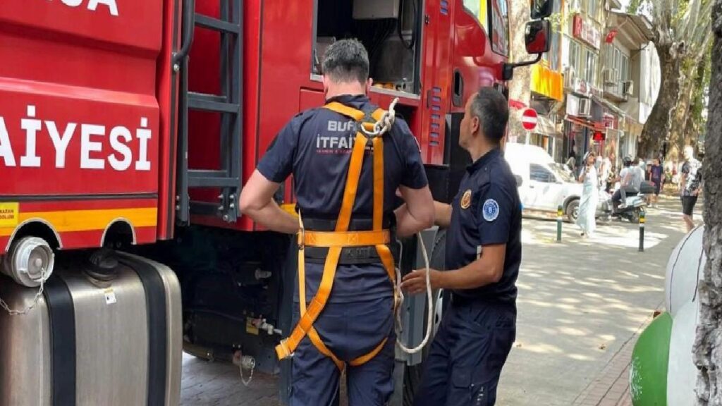 152 yıllık anıt ağaçta mahsur kalan kuş itfaiye takımları tarafından kurtarıldı