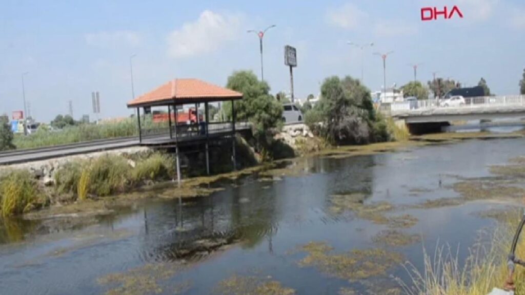 Acısu Deresi’nde Kirlilik ve Koku Şikayetleri