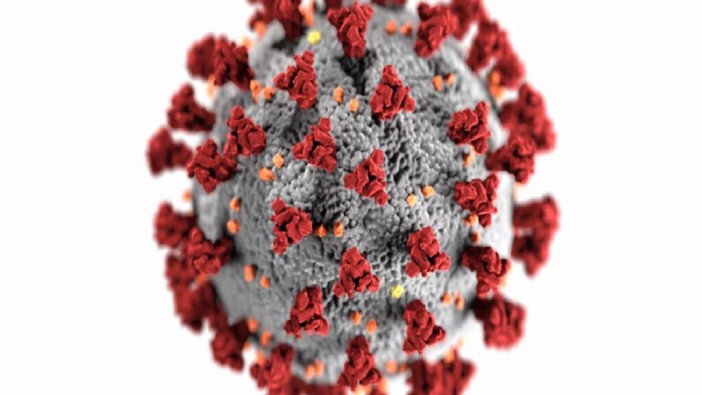 BA.2.86 virüsü nedir? BA.2.86 virüsü öldürücü mü, tehlikeli mi? BA.2.86 virüsü belirtileri!