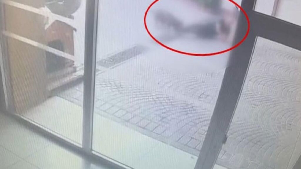 Bakırköy’deki dehşete düşüren pitbull saldırısının güvenlik kamerası manzaraları ortaya çıktı