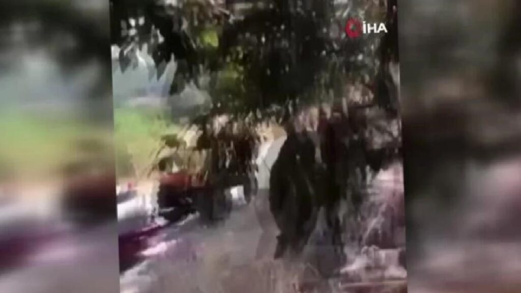 Bursa’da 100 dönüm buğday tarlası ve 1 biçerdöver kül oldu