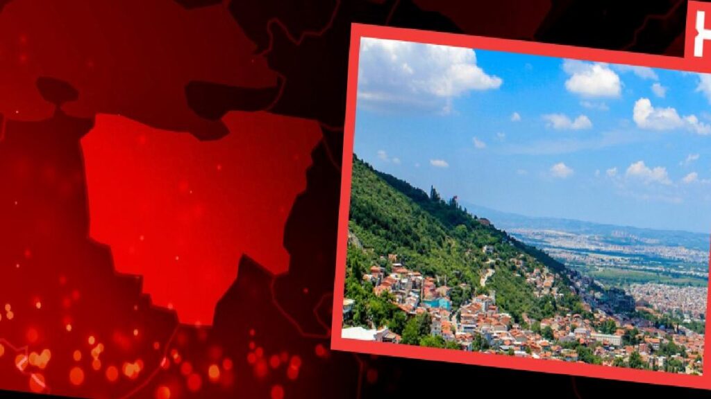 Bursa’da anız yangını ormana sıçradı