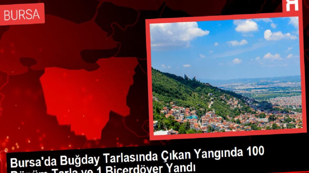 Bursa’da Buğday Tarlasında Çıkan Yangında 100 Dönüm Tarla ve 1 Biçerdöver Yandı